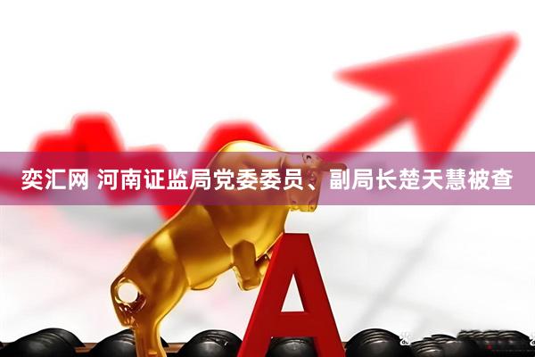 奕汇网 河南证监局党委委员、副局长楚天慧被查